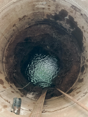 корни дерева в колодце